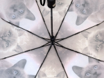Зонт  женский Baolizi , арт.3024_product